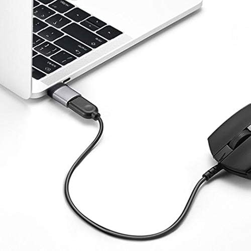 Boxwave kabel kompatibilan s Acer TravelMate P2 - USB -C na porthanger, USB Type -C OTG USB prijenosni privjesak za ključeve