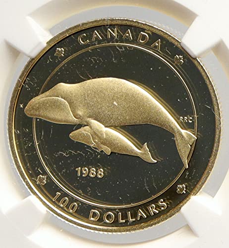 1988. CA 1988 Kanada UK Elizabeth II Bowhead Whale Child P $ 100 PF 68 Ultra Cameo NGC