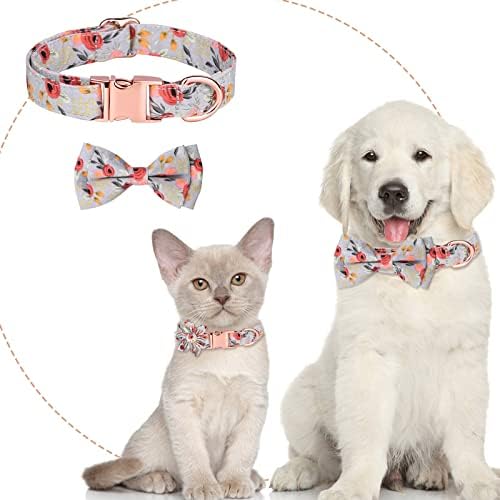 Veliki ogrlica za pse Personalizirane ovratnike za pse s kravatom pamuka pamuka Djevojke kopče štene za 3 podesive veličine